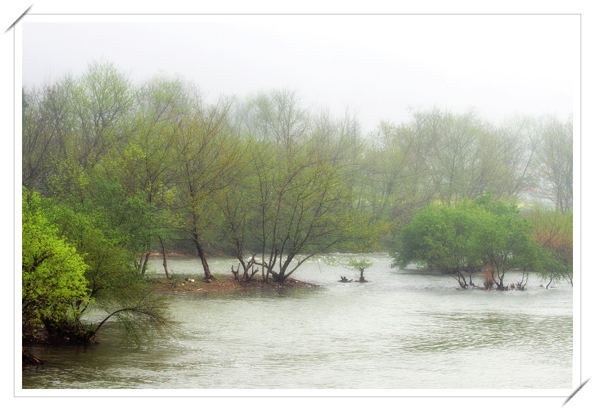 云淡水平烟树深 摄影 老听雨