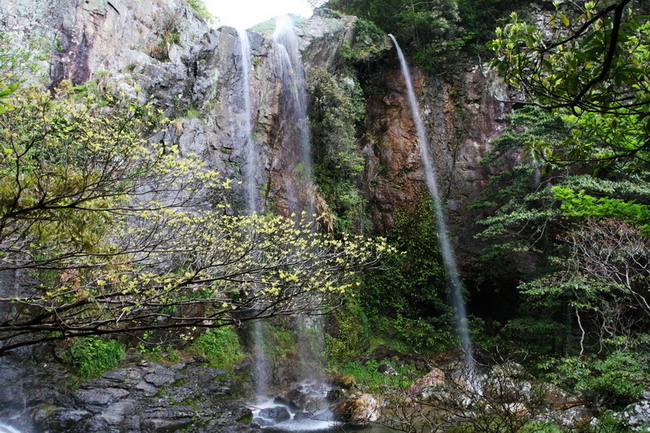 茶山风光2 摄影 鹿山老人