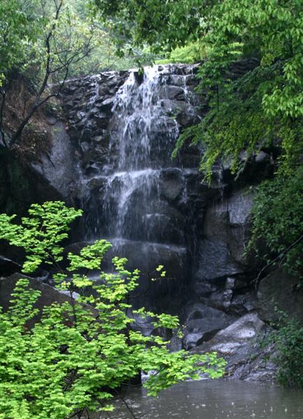 南昌长春湖 摄影 江南雨