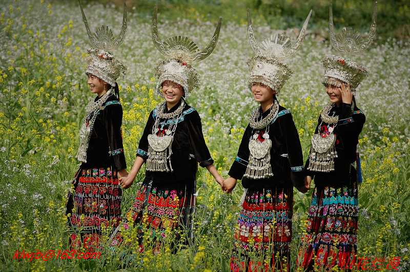 多彩黔东南 3 摄影 贵州山花烂漫