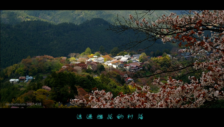 透過櫻花的村落 摄影 漫步天下