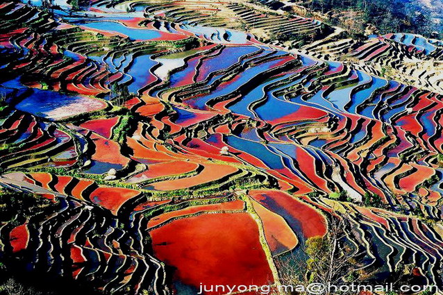 元阳梯田风光全景 摄影 小元阳