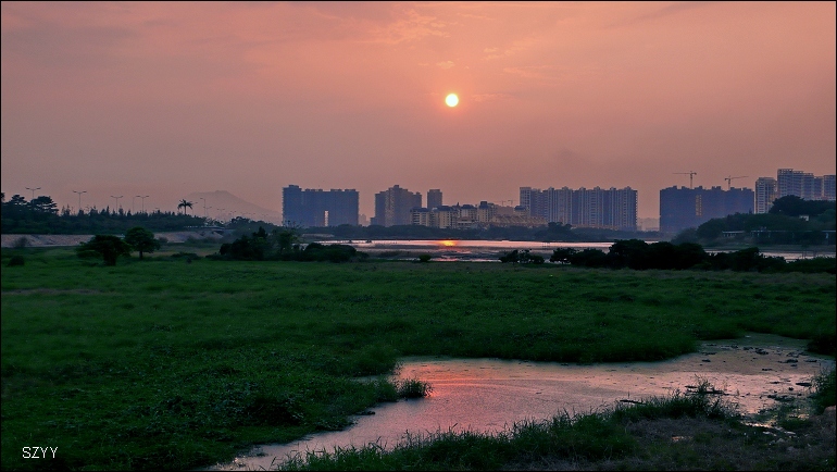 侨城湿地 摄影 SZYY