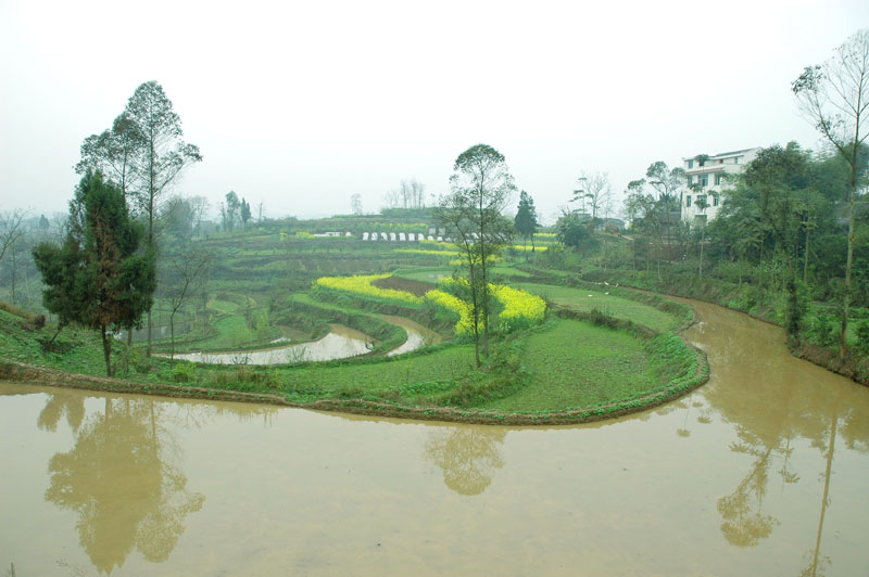 广安乡下小景 摄影 张超