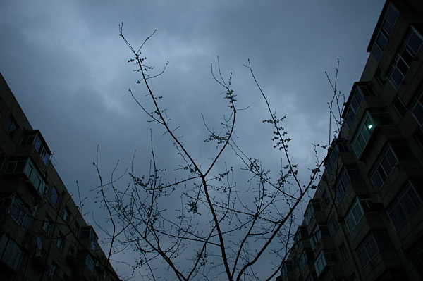 盛京城之山雨欲来风满楼 摄影 站在岸上的鱼