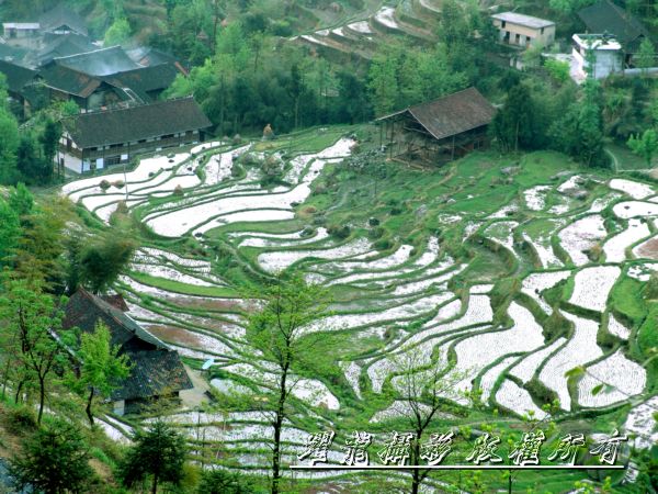 湖南紫鹊界梯田 摄影 江跃龙