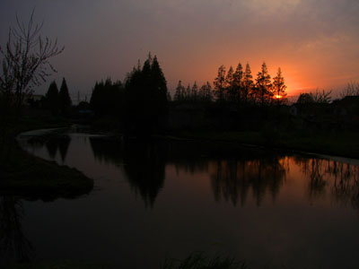 夕陽 摄影 花园里的可可