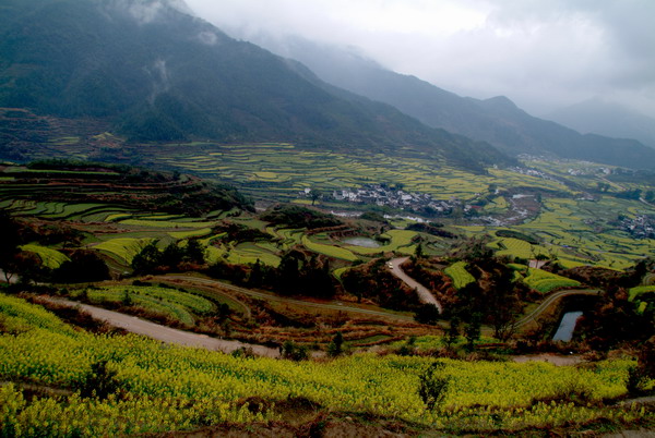 油菜花开满山坡 摄影 东方一耳