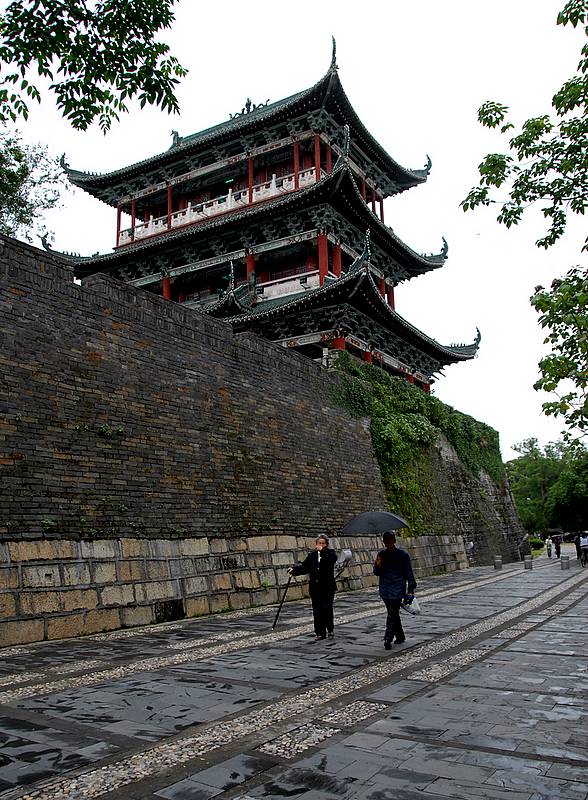 雨后八境台 摄影 掉在垃圾里