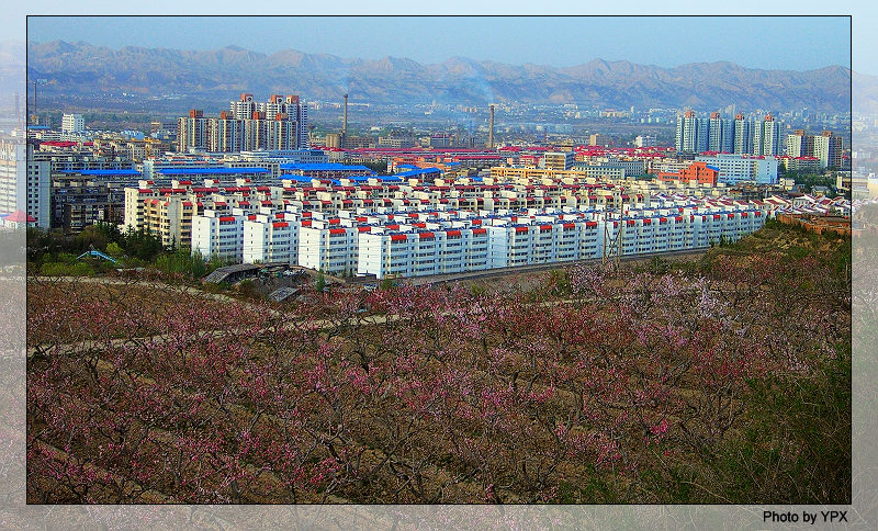 桃花映红石化城 摄影 引擎