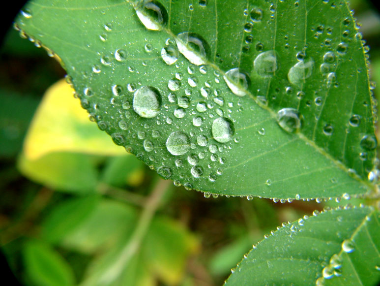 雨后１++ 摄影 動感地帶