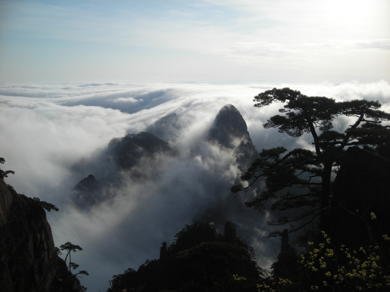 黄山云海 摄影 北海