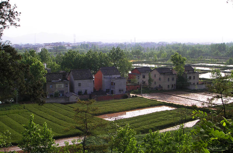 石花－－城乡结合 摄影 厨师解围腰