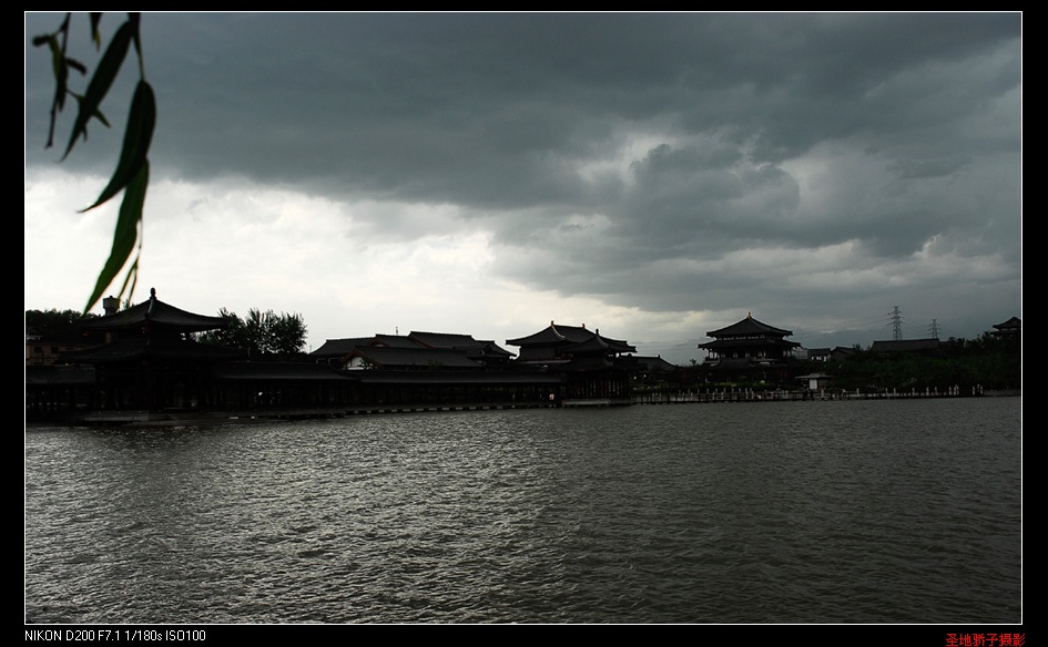 风雨芙蓉园 摄影 wangyq