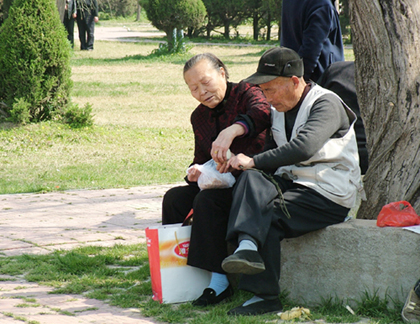 老夫妻 摄影 大自然掠影