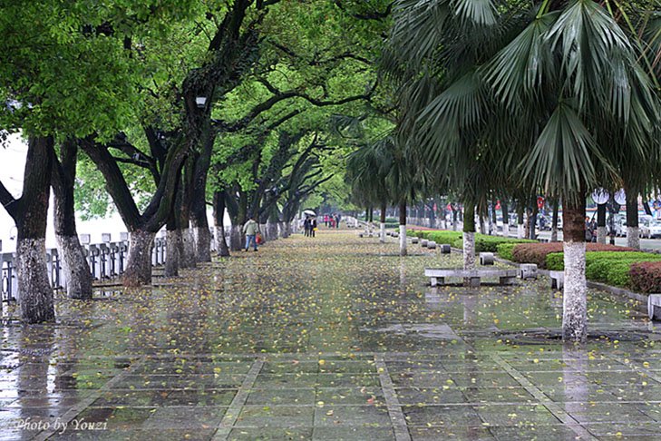 雨后 摄影 youzi