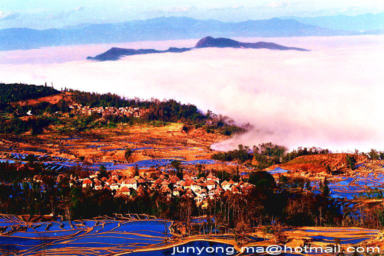 元阳梯田风光全景 摄影 小元阳