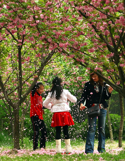 花雨 摄影 风影之韵