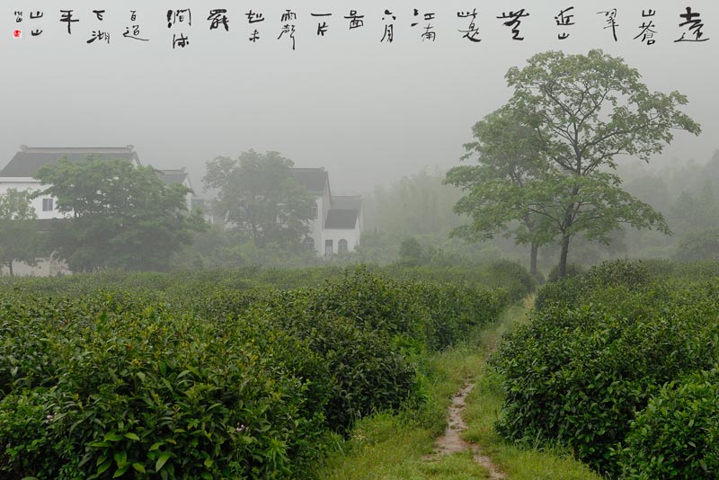 家门口的风景系列之 雾迷路不穷 摄影 苏州山山山