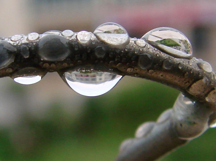 雨后3++ 摄影 動感地帶