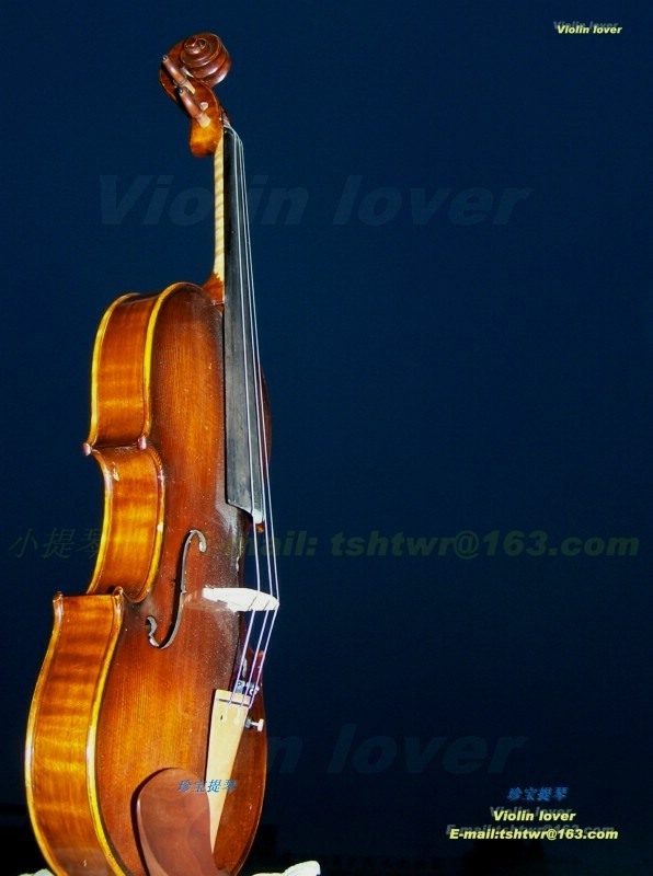 Violin 摄影 小提琴情人