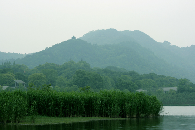 春日春山春水春树 摄影 晚风柳笛