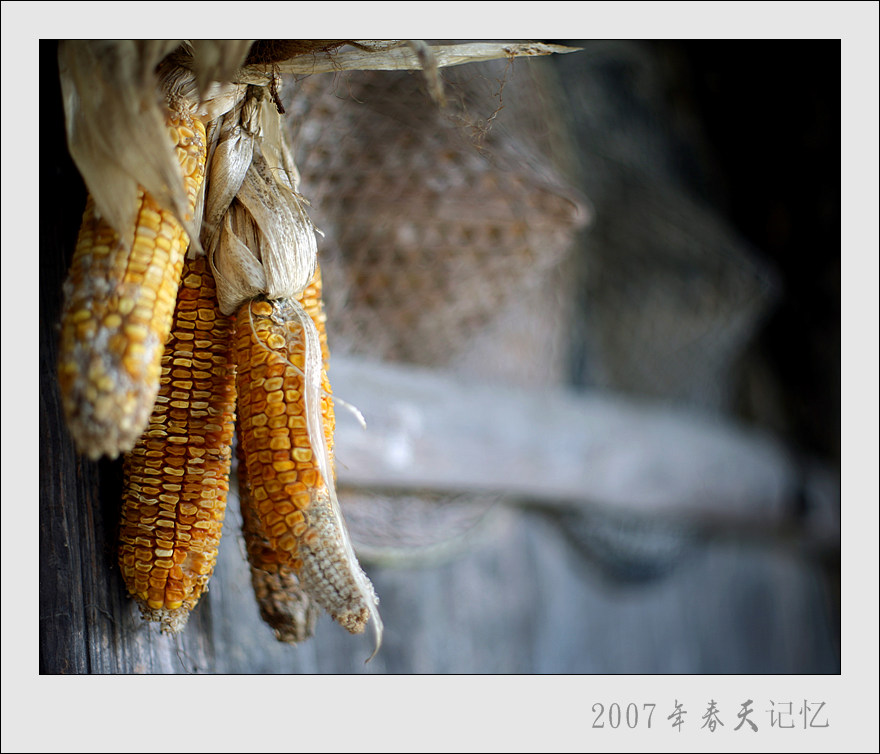 《农家印象》 摄影 余姚彤影