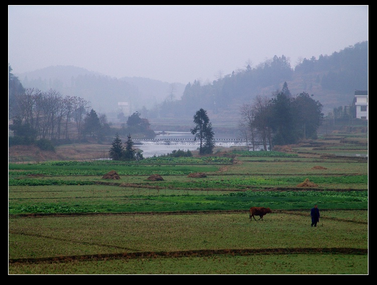 冬闲田园 摄影 sunrise2006