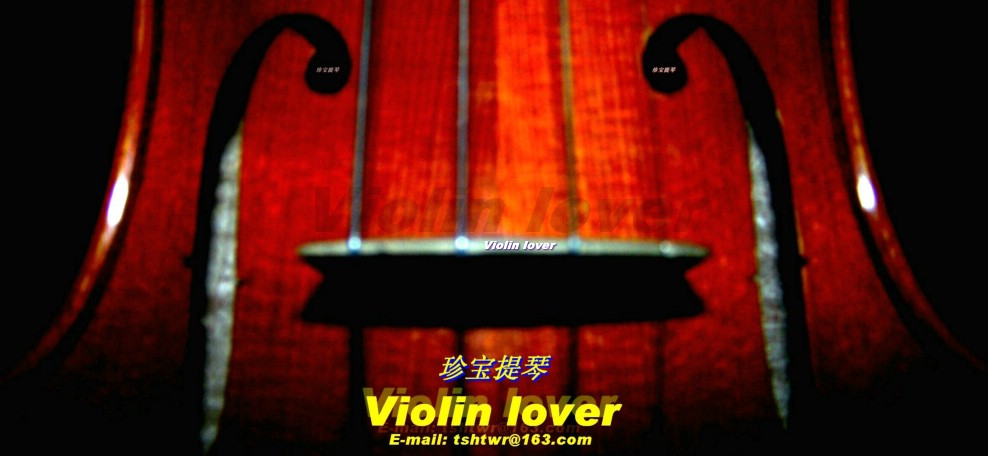 Violin lonver 摄影 小提琴情人