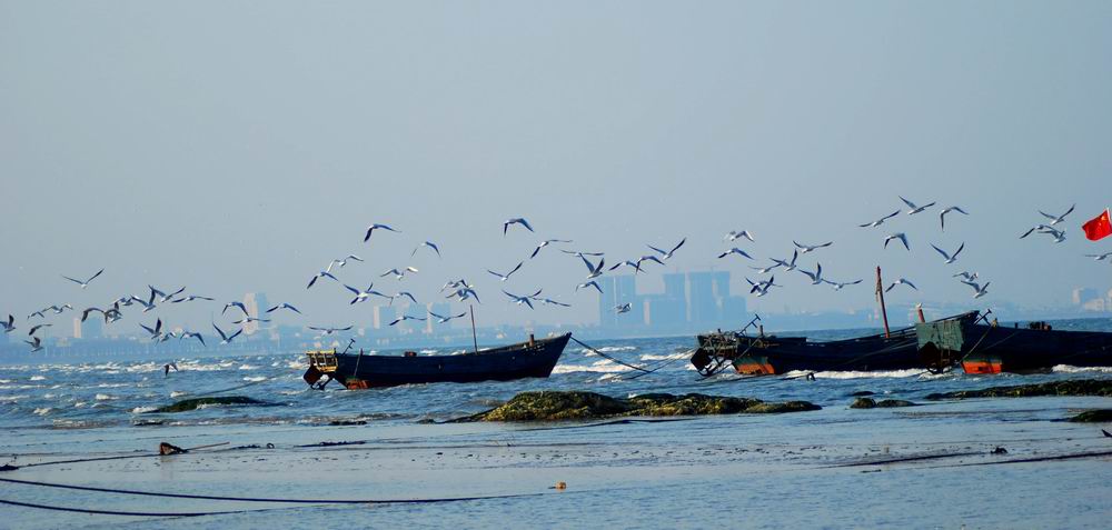 北戴河湿地 摄影 开摩若