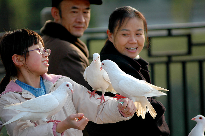 乐 摄影 阳光客