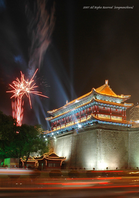 中国（西安.香港）国际道德经论坛开幕式外景 摄影 藤蔓植物