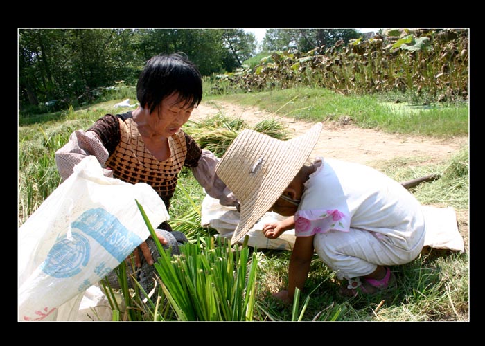 母亲和外甥女-3 摄影 草民老色