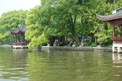 杭州西湖白堤景(3) 摄影 桐乡老年大学