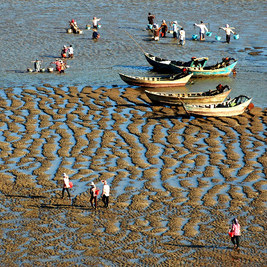 赶海 摄影 JF509