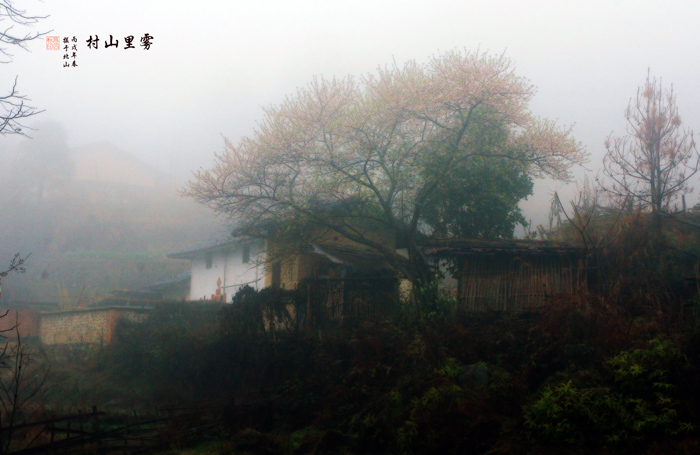 雾里山村 摄影 陈老四