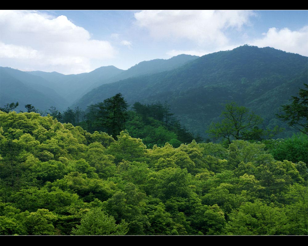 岳西行-1 摄影 山沐