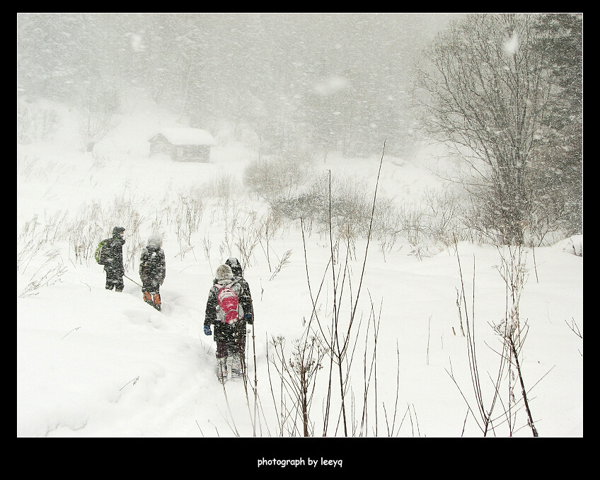 爬雪山 摄影 liyuanqing