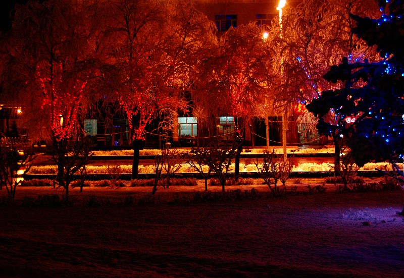 雪夜 摄影 思冰