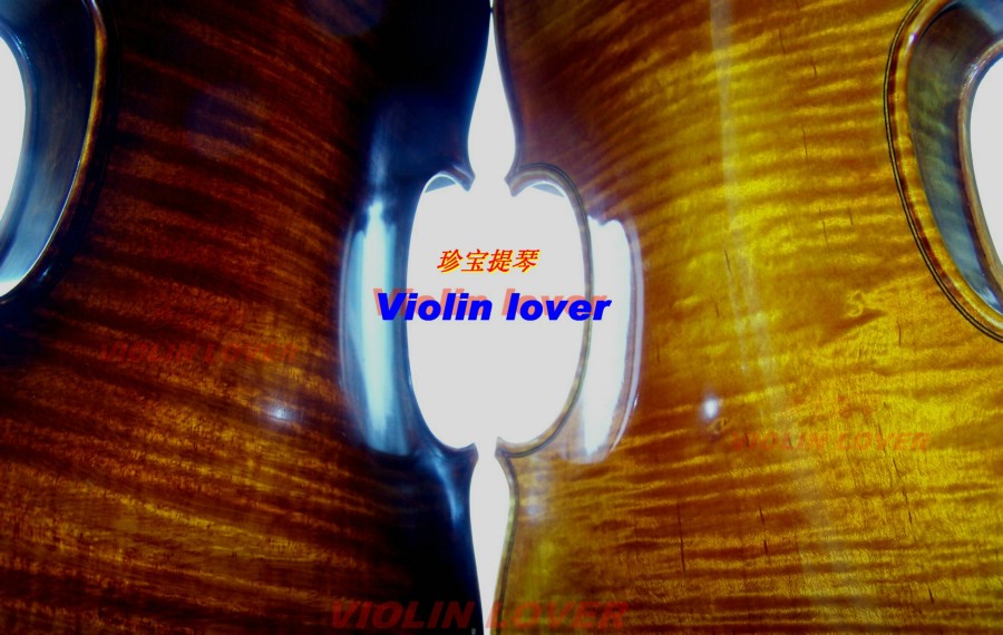 Violin 摄影 小提琴情人