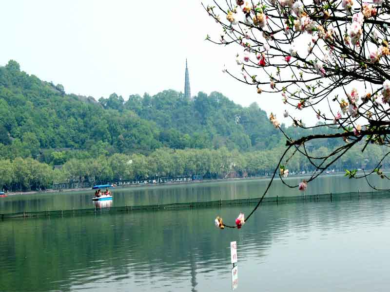 杭州西湖白堤景(5) 摄影 桐乡老年大学