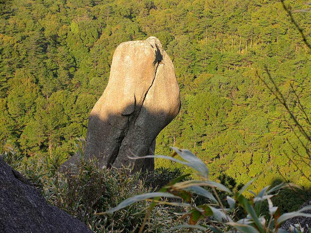 朝气蓬勃 摄影 蓝色驴