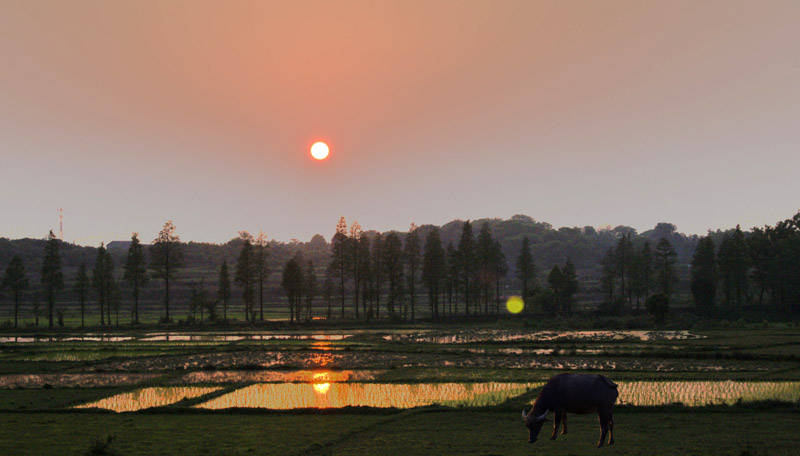 夕阳 摄影 海鹰