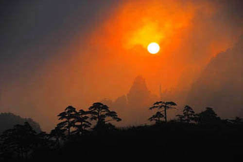 日出黄山 摄影 黄山根宝