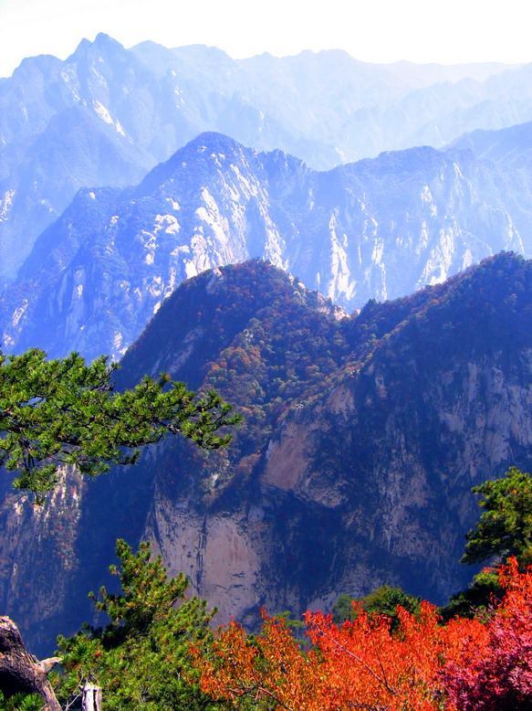 华山3 摄影 朽木逢春