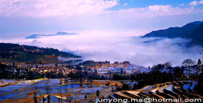 元阳梯田风光全景 摄影 小元阳