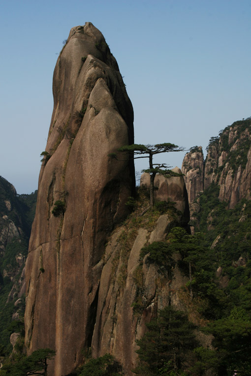 天然盆景 摄影 小宝