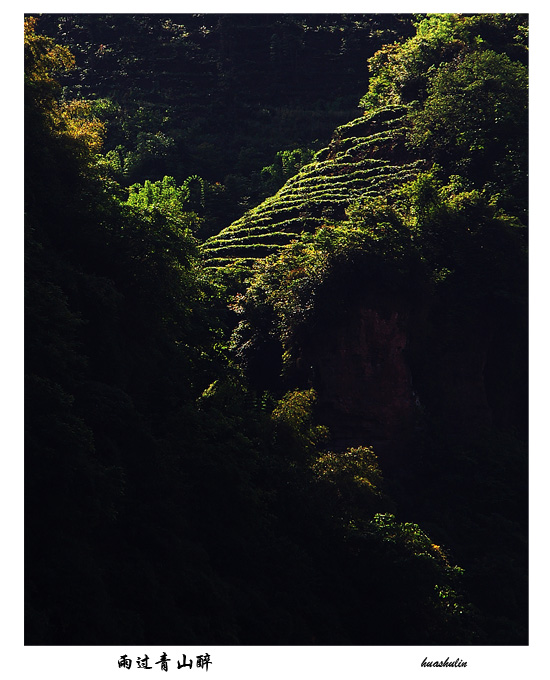 雨过青山醉 摄影 桦树林