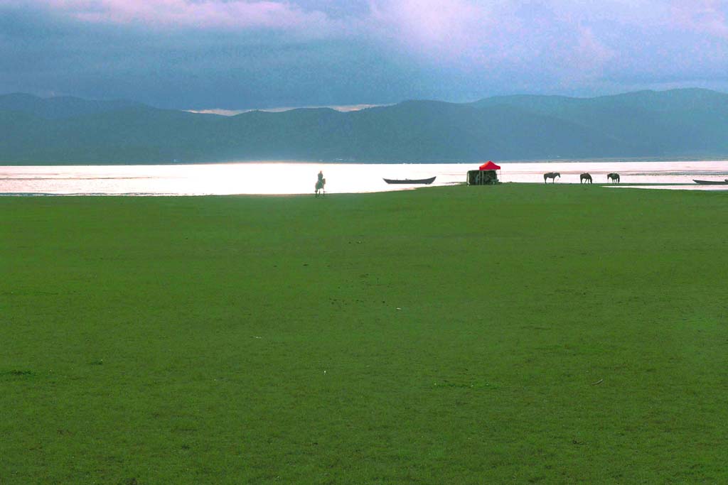 香格里拉纳帕海 摄影 杨阳