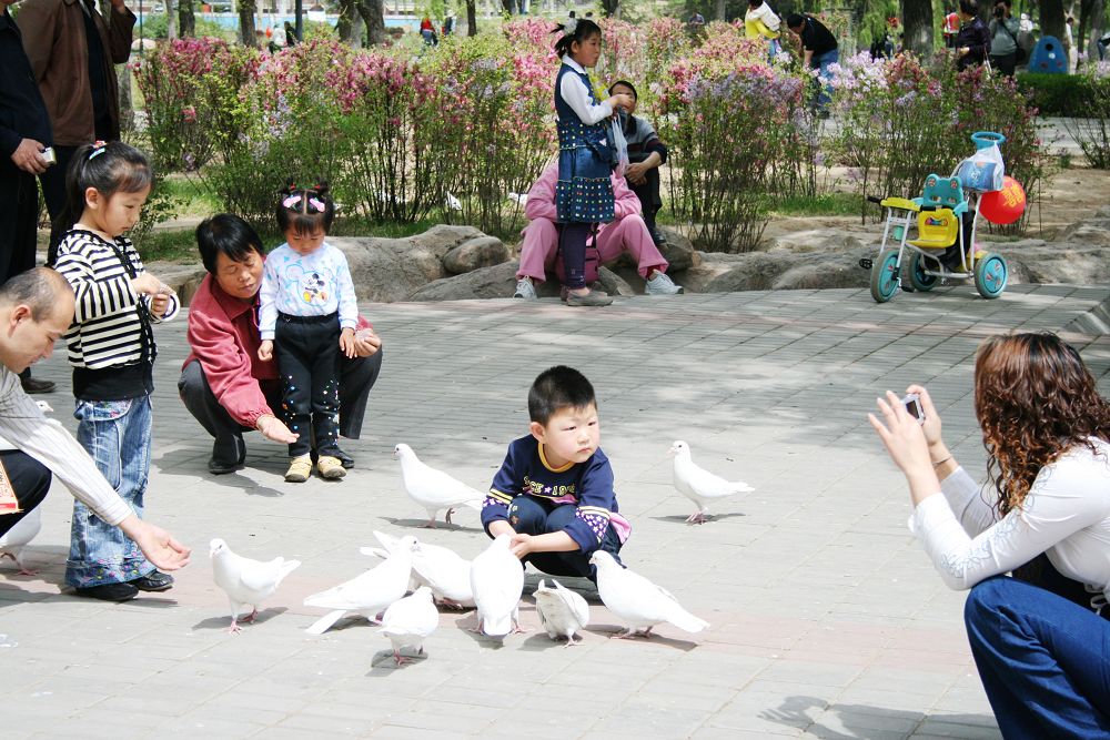 节日快乐 摄影 yueerwanwan